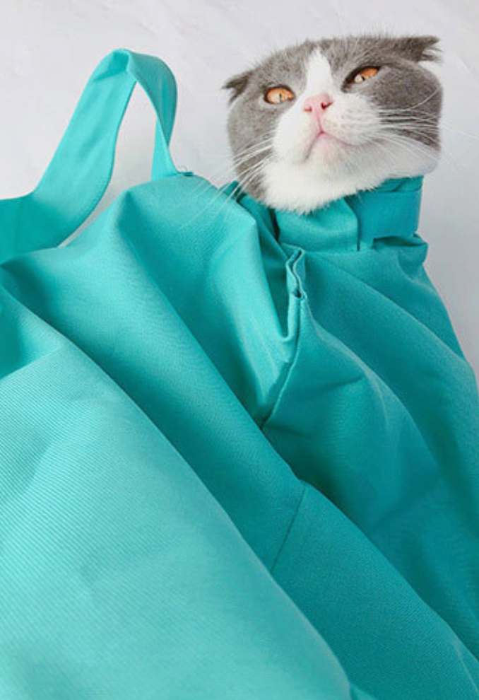 Adjustable Cat Carrier Backpack, Single-Shoulder Pet Bag with Wide Open Design & Secure Velcro Closure, Portable & Waterproof